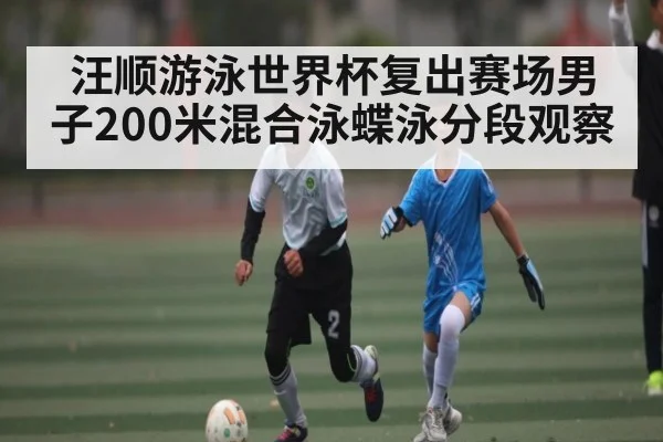 汪顺游泳世界杯复出赛场男子200米混合泳蝶泳分段观察